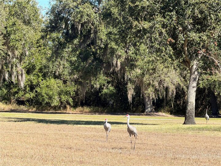 Property Photo:  7912 SW Sunny Oaks Drive  FL 34269 