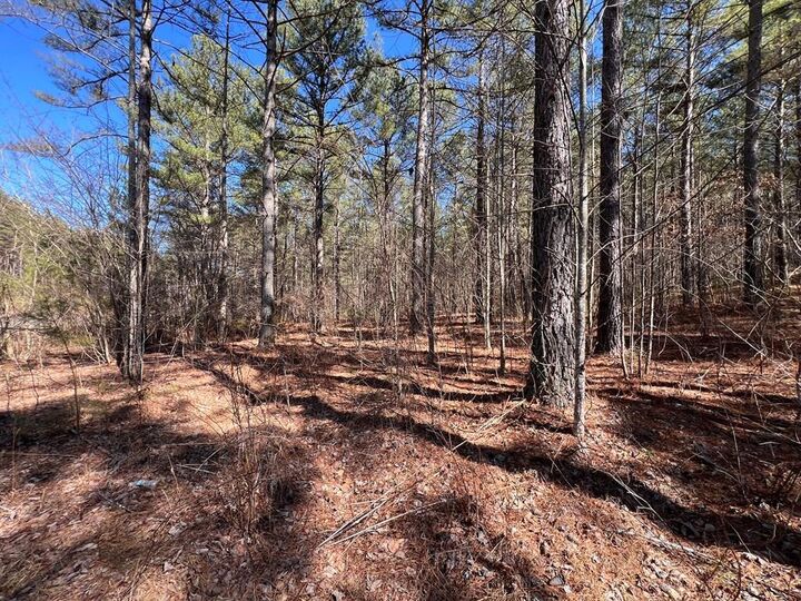 Property Photo: Lot 50 Deyton Dr GA 30512