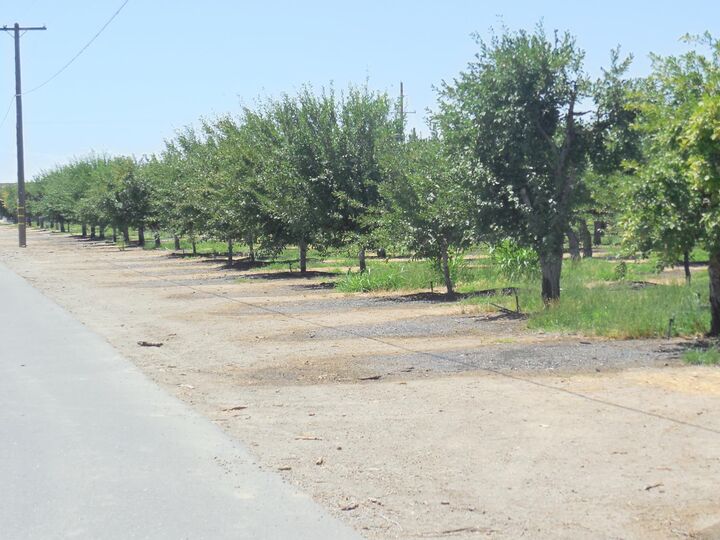 Property Photo:  2200 Encinal Road  CA 95953 