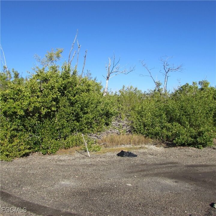 Property Photo: 13686 Ficus Tree Lane FL 33922