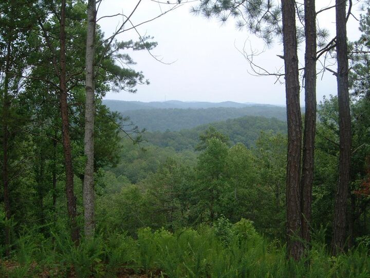 Property Photo:  306 Oberlin Court  GA 30734 