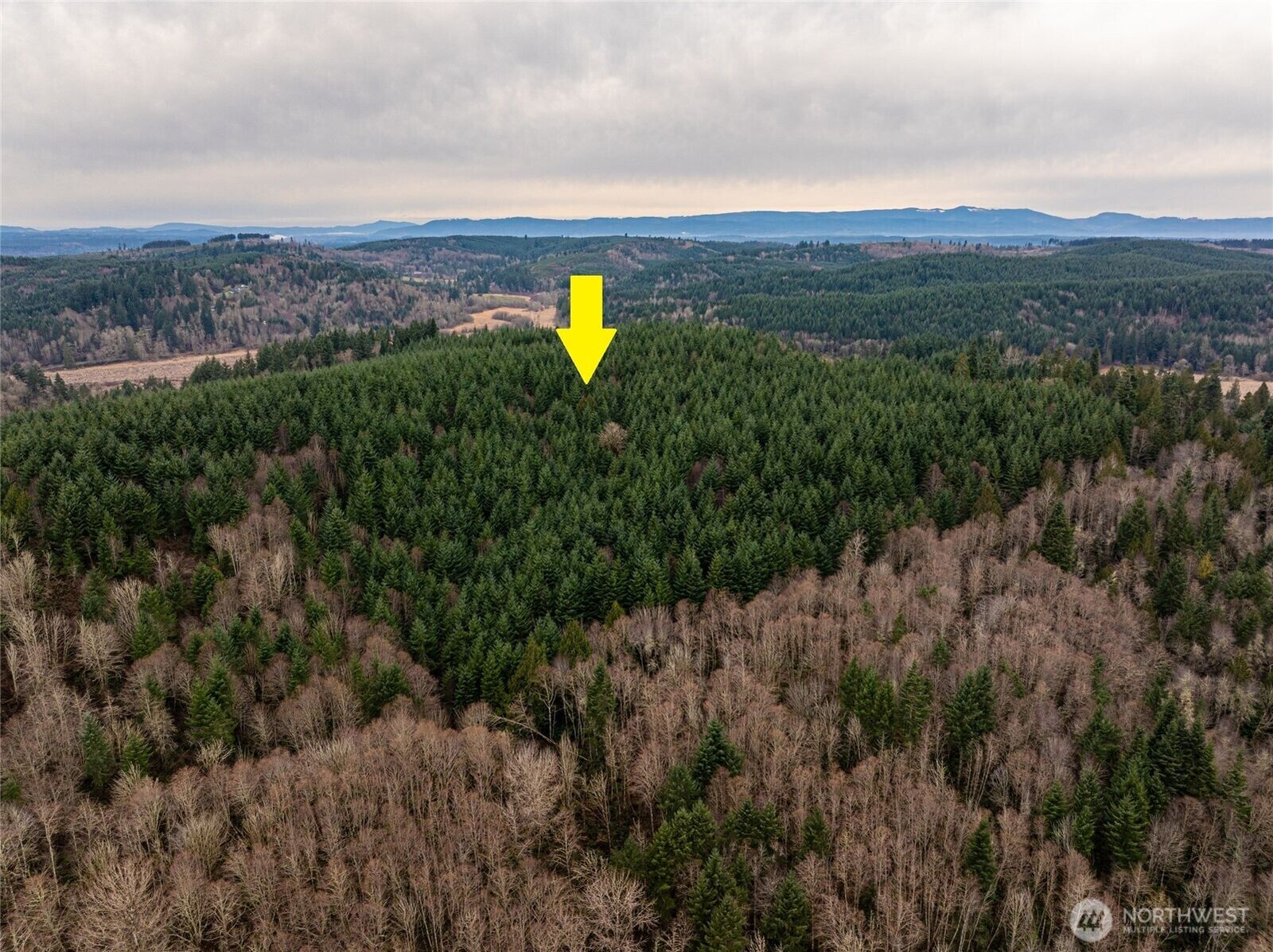 Property Photo: 216 Xx Zenkner Valley Road SW WA 98531