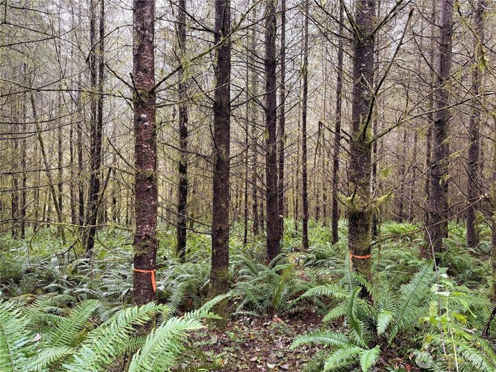 Property Photo: 50 X Winston Creek Road WA 98564