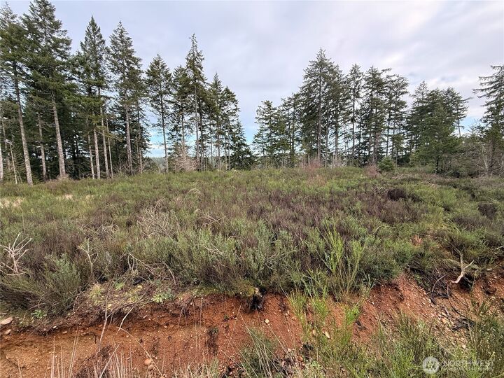 Property Photo:  1 Xx  West California Road  WA 98584 