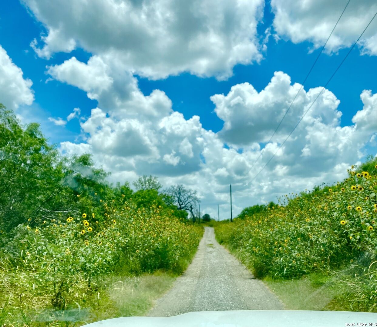 Property Photo:  1590 McCauley Rd  TX 78114 