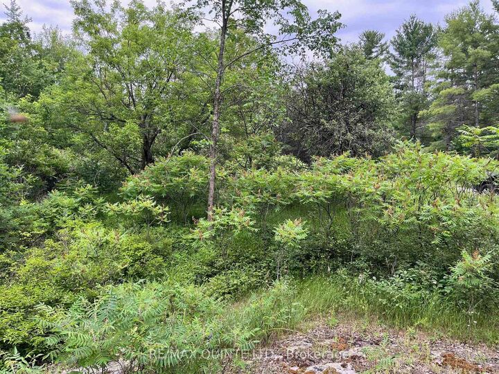 Property Photo: 0 (Pin - 40264-0091) Potter Settlement Road ON K0K 3J0
