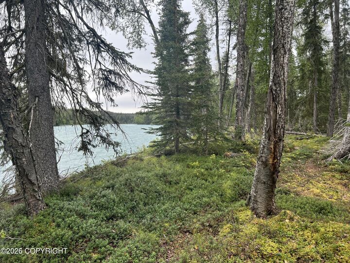 Property Photo: Tract C Jackie Ann Street AK 99610