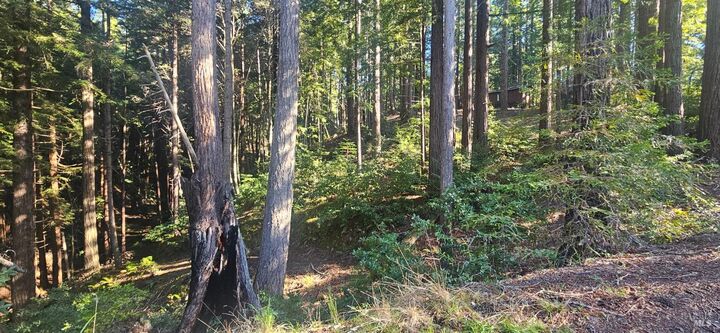 Property Photo:  22107 Ruoff Road  CA 95450 