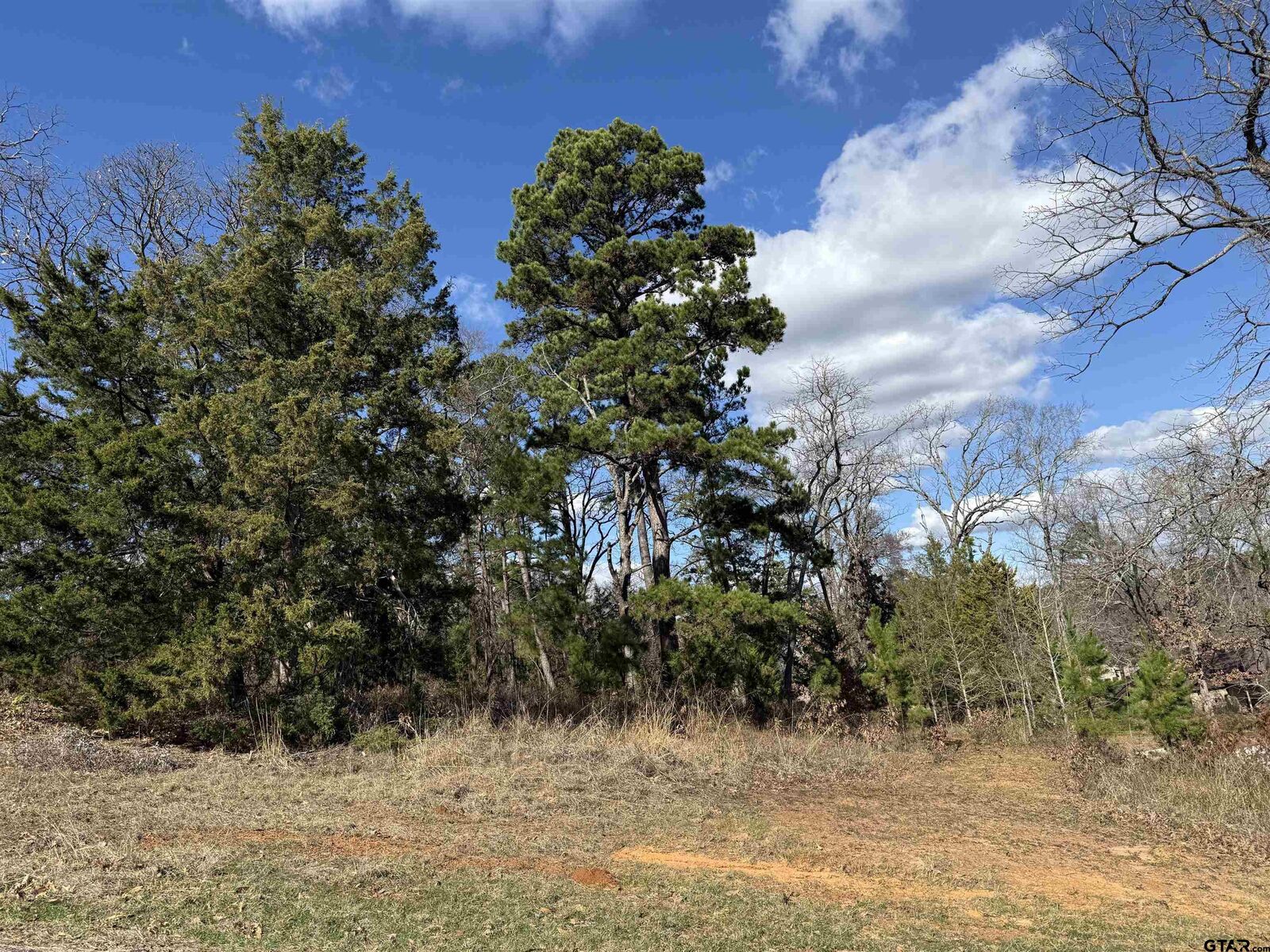 Property Photo:  15899 Crazyhorse  Drive  TX 75771 