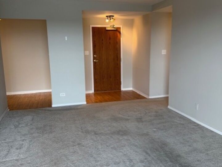 Property Photo:  6340 Americana Drive 1102  IL 60527 