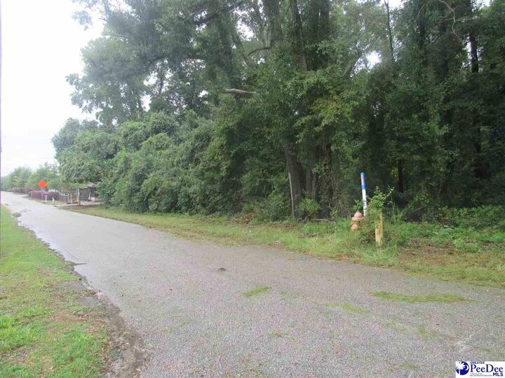 Property Photo:  1211 Day St.  SC 29506 