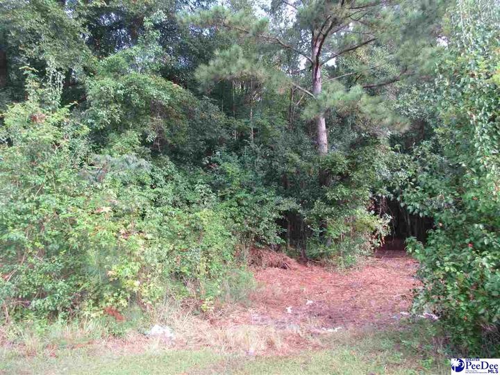 Property Photo:  Tbd National Cemetery Rd.  SC 29506 