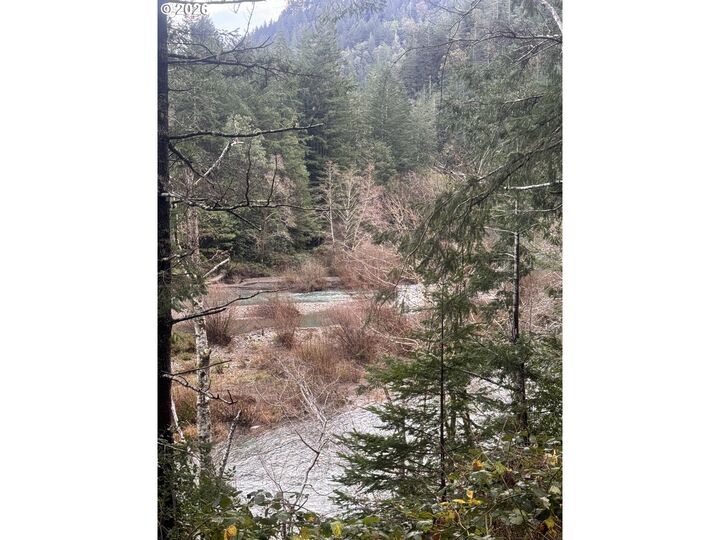 Property Photo:  41574 Swinging Bridge Ln  OR 97465 