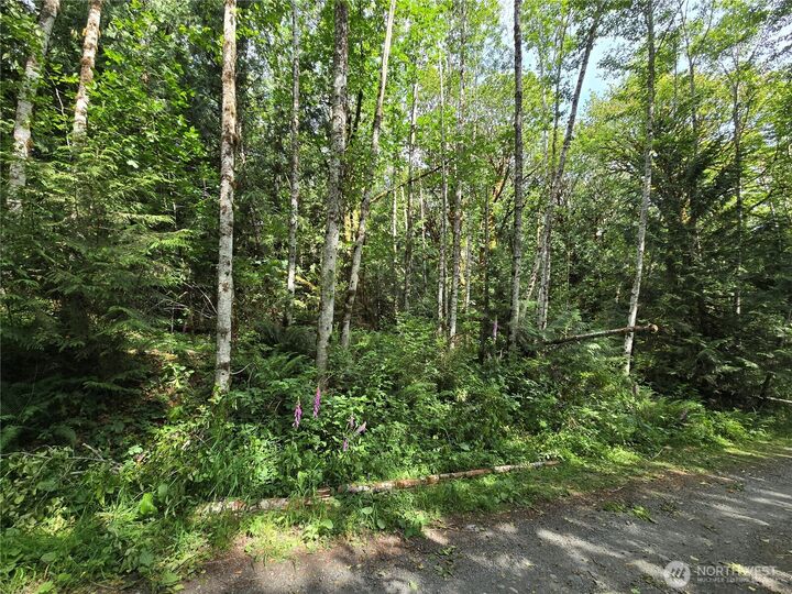 Property Photo: 0 Xxx Triton Heights Road WA 98555