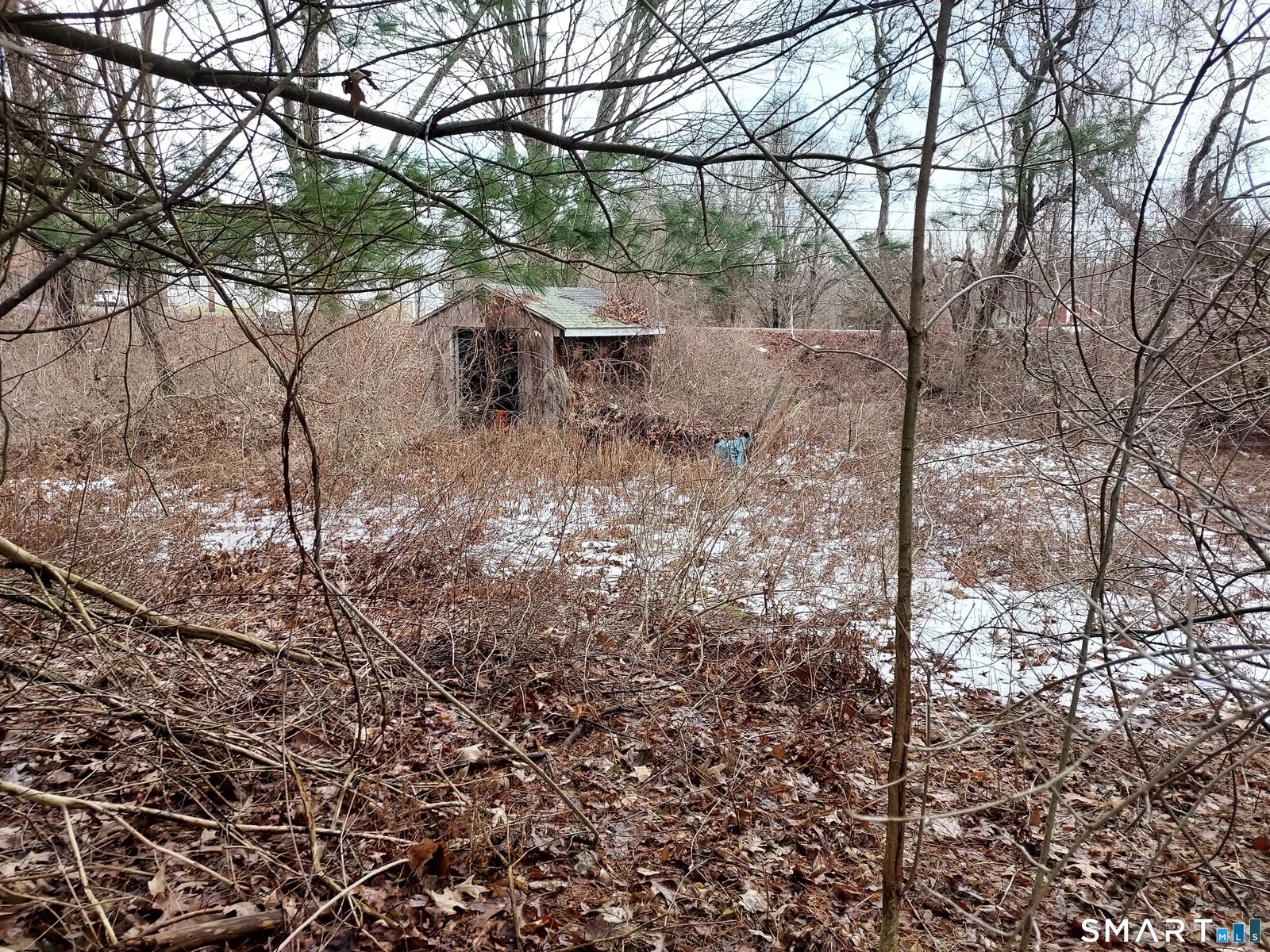 Property Photo:  8 Times Farm Road  CT 06232 