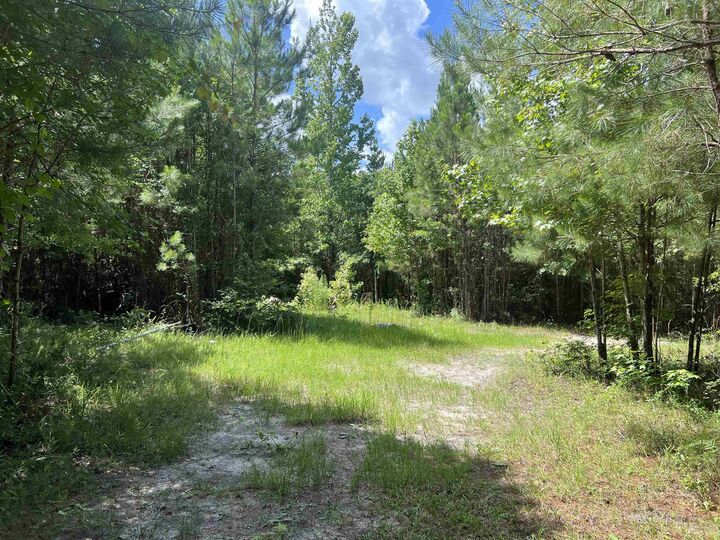 Property Photo:  Xx Hardaway Highway  FL 32332 