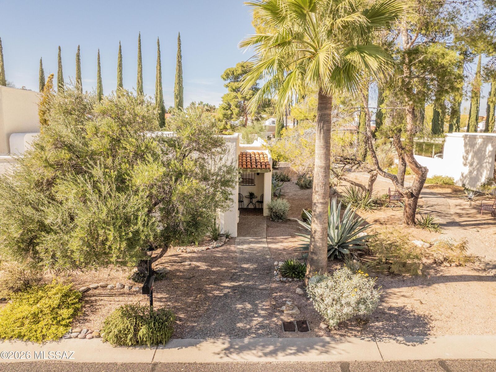 Property Photo:  6339 N Orange Tree Drive  AZ 85704 