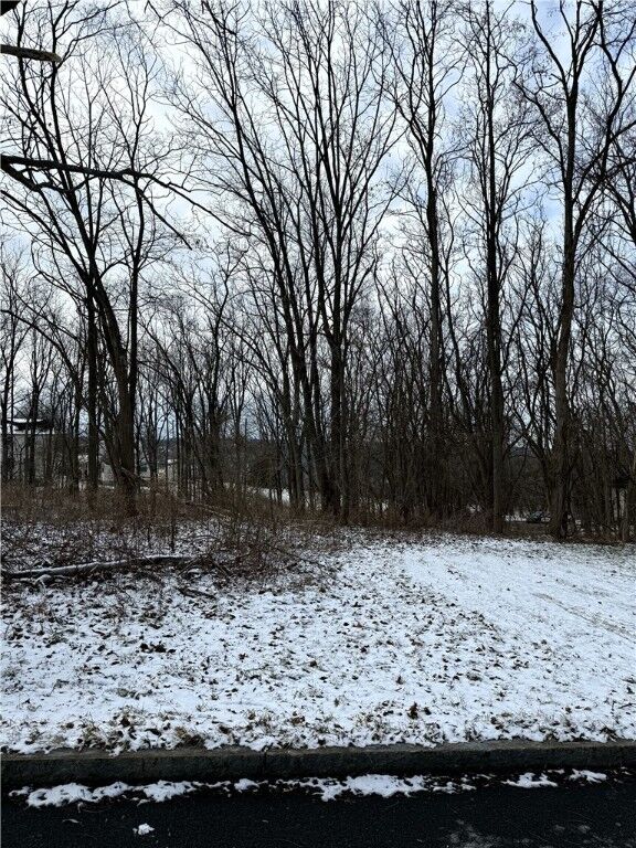 Property Photo:  616 Hudson Street  NY 14850 