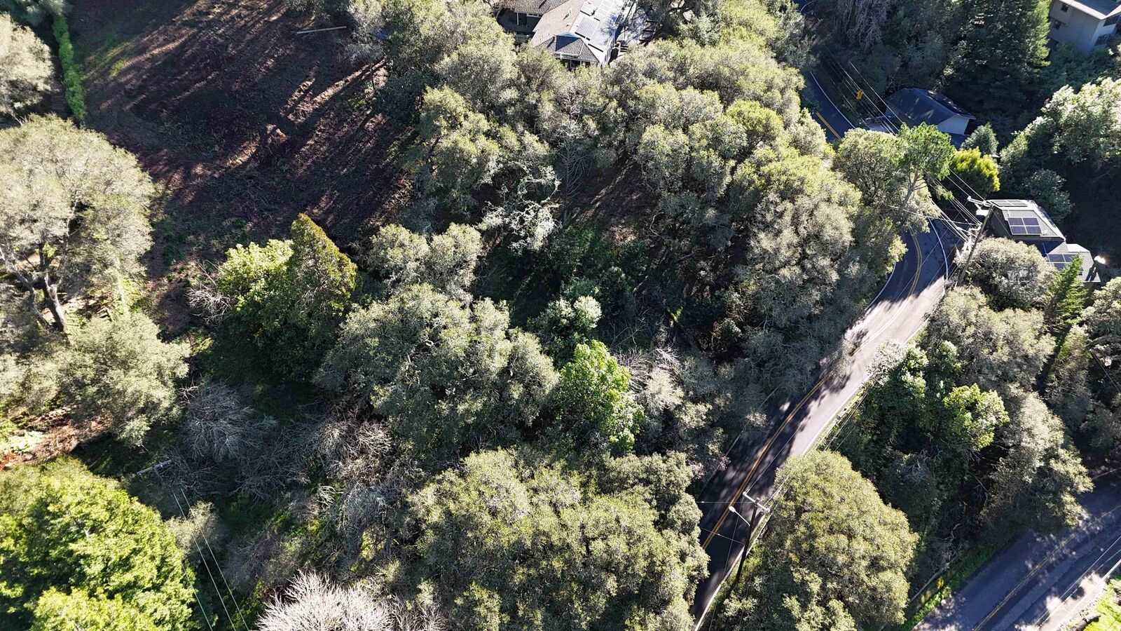 Property Photo:  1488 Alvarado Rd.  CA 94705 