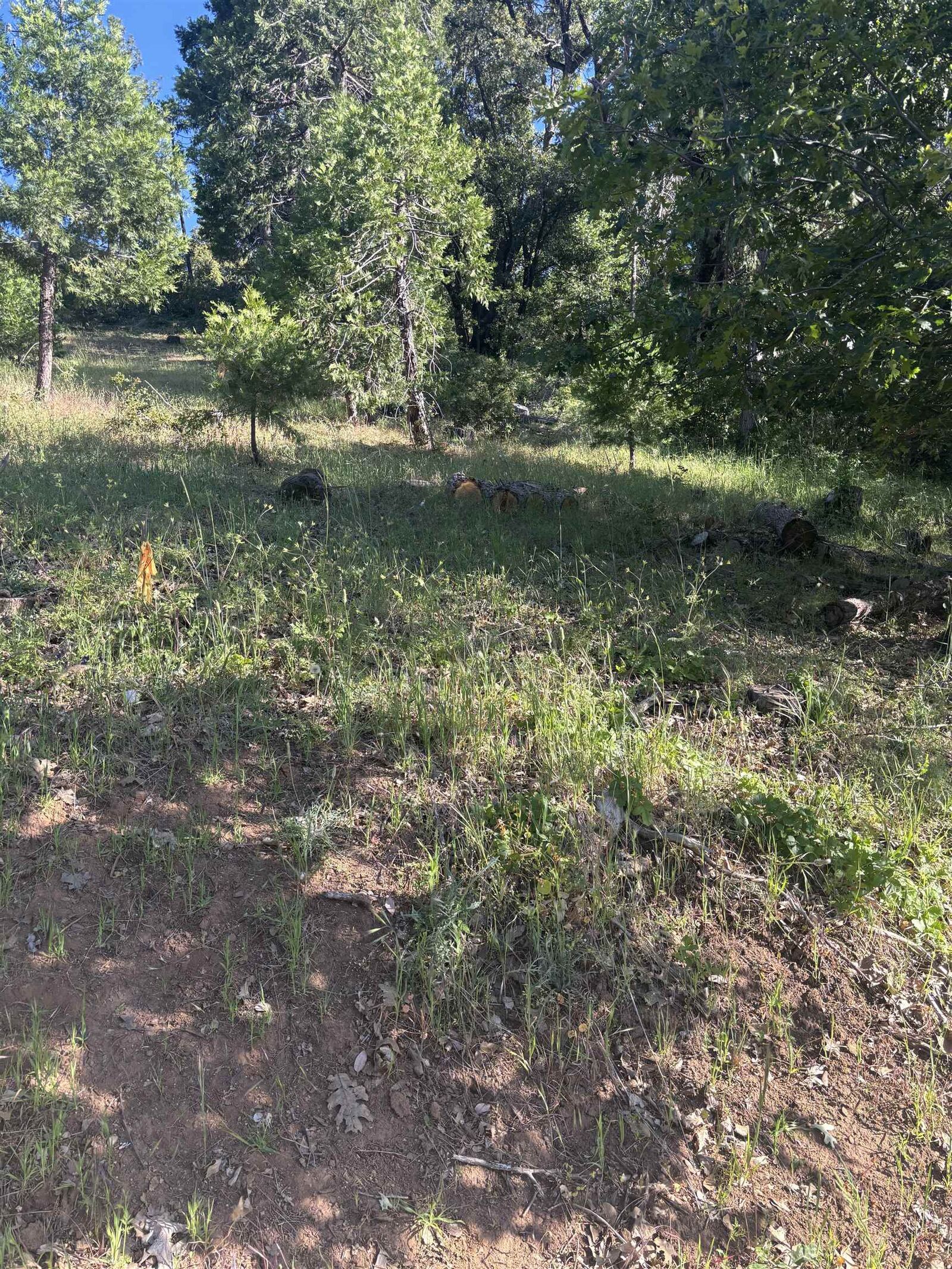 Property Photo:  00000 Eastview Dr  CA 95379 