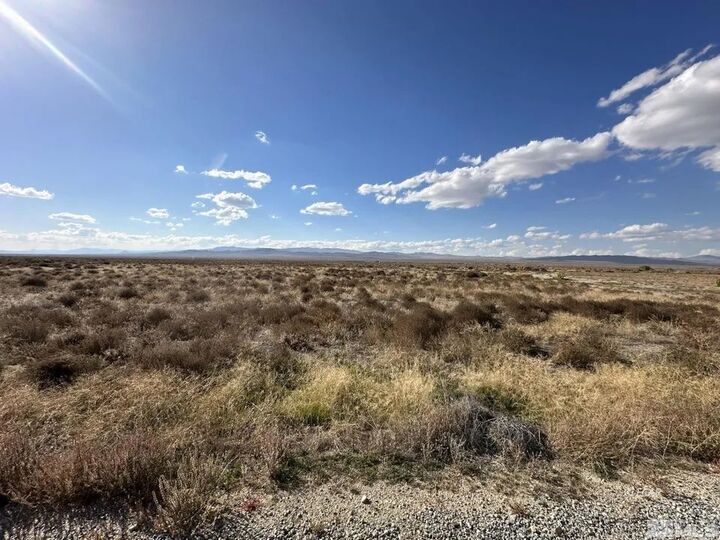 Property Photo:  45 Desert View Drive  NV 89419 