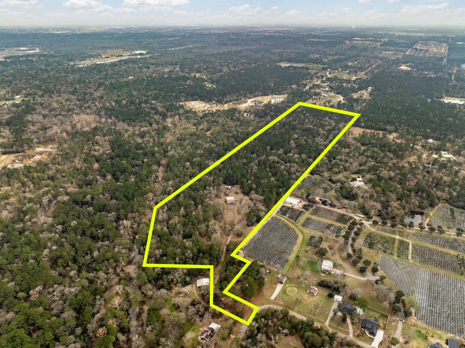 Property Photo:  15547 Knotty Oaks Trail  TX 77355 