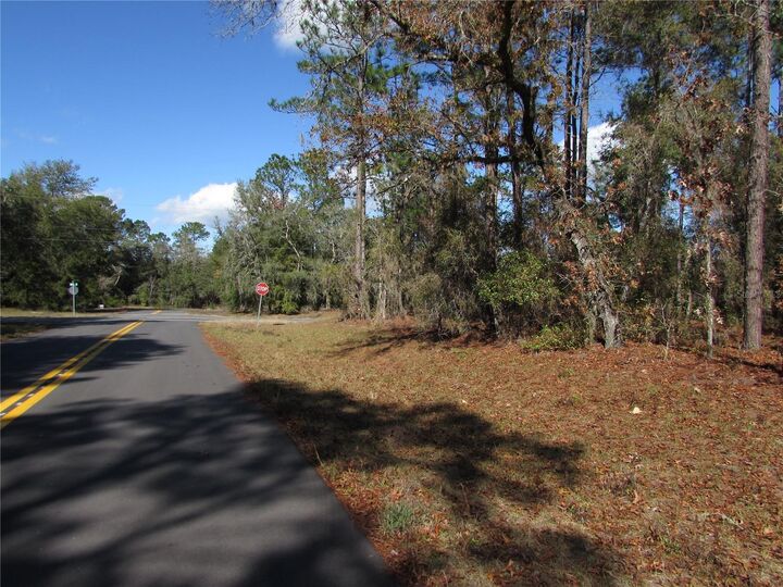Property Photo:  Lot 18 SW 156 Street  FL 34473 