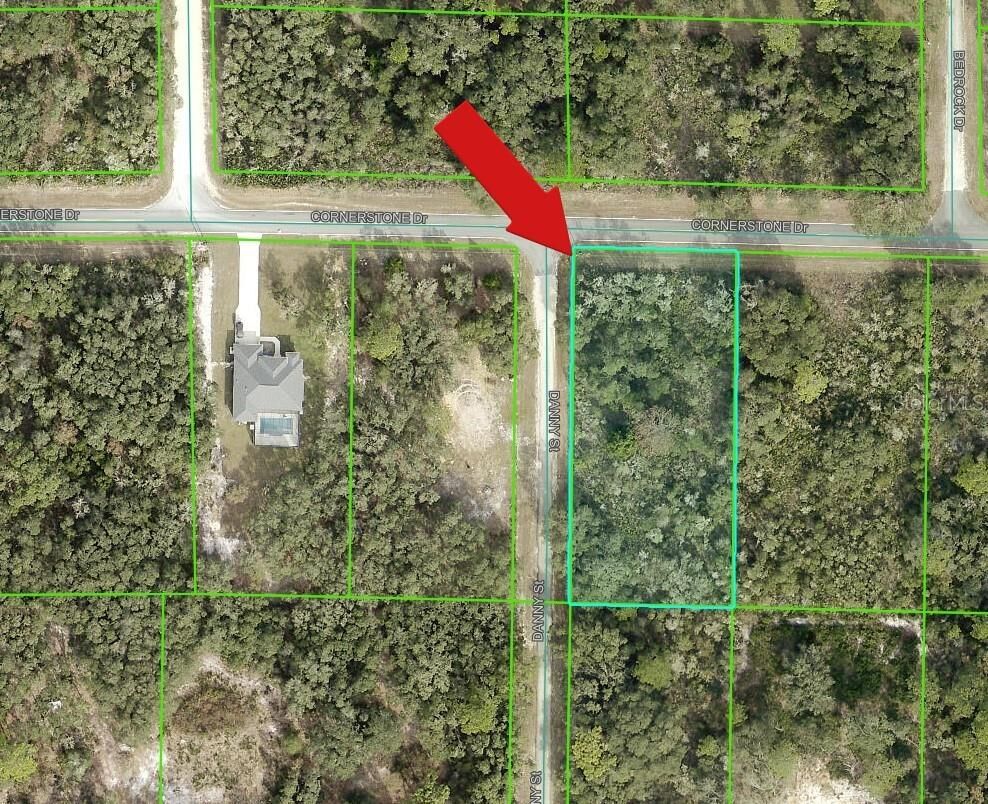Property Photo: 35106 Cornerstone Drive FL 33597