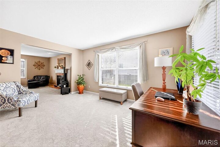 Property Photo:  704 Richard Avenue  MO 63028 