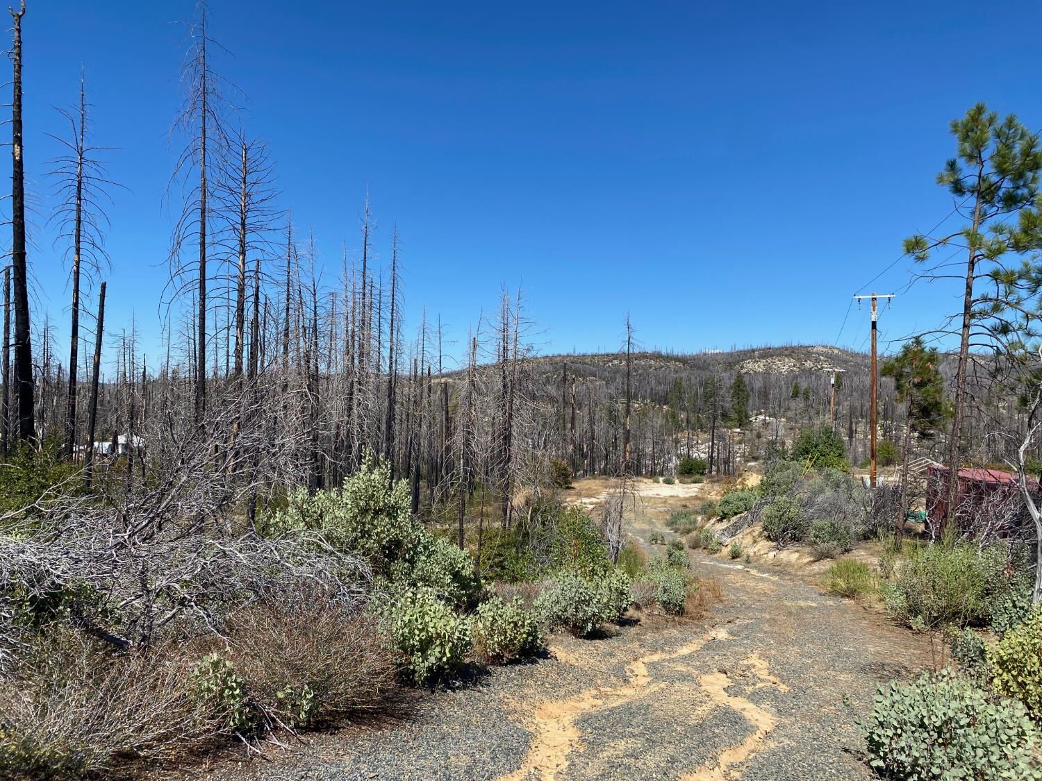 Property Photo:  1465 Bald Rock Road  CA 95916 