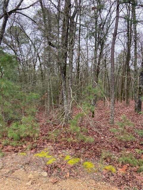 Property Photo:  2529 Cr 3540  TX 75765 