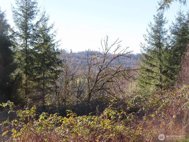 Property Photo: 0 Xxx Larson Road WA 98564