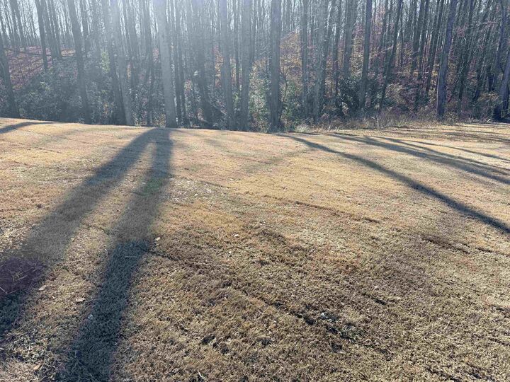 Property Photo:  115 Oakley Dr  AL 35055 - CULLMAN 