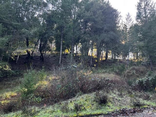 Property Photo:  24583 Cypress Drive  CA 95490 