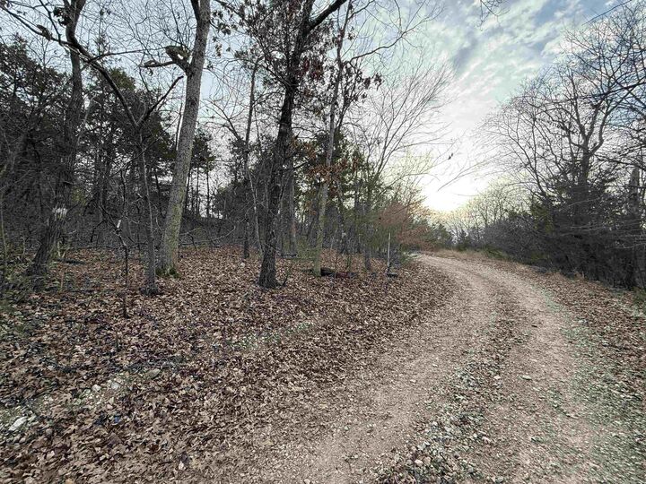 Property Photo: 001 Mallard Drive AR 72630