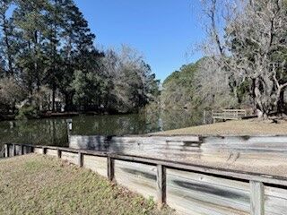 Property Photo:  28 Deer Trail Lane  GA 31320 