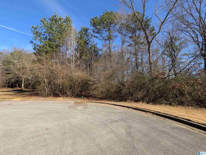 Property Photo:  0 Manor Place 43  AL 36203 