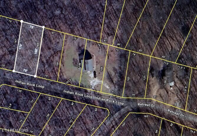 Property Photo:  0.29 Ac Indian Rock Loop  TN 38572 