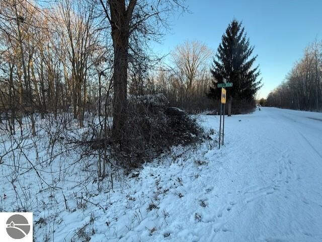 Property Photo:  Tbd Hardwood Trail  MI 48871 