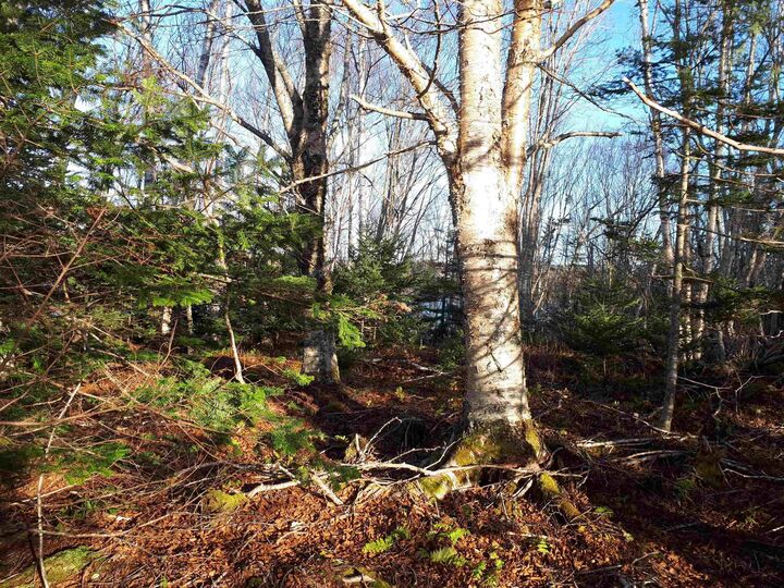 Property Photo:  Lot 17 Torus Dr  NS B0E 3B0 