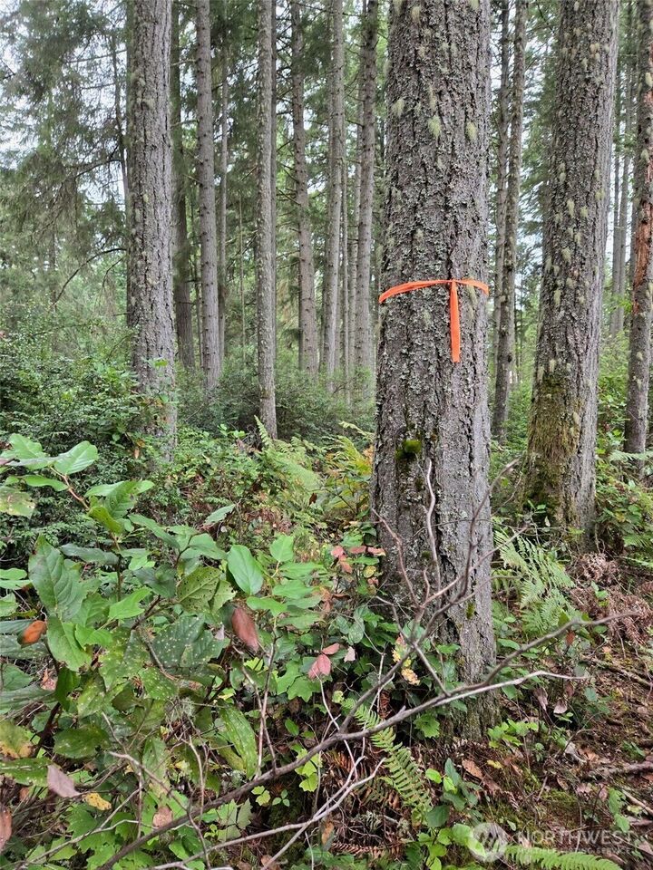 Property Photo:  11119  122nd Avenue Ct  WA 98303 