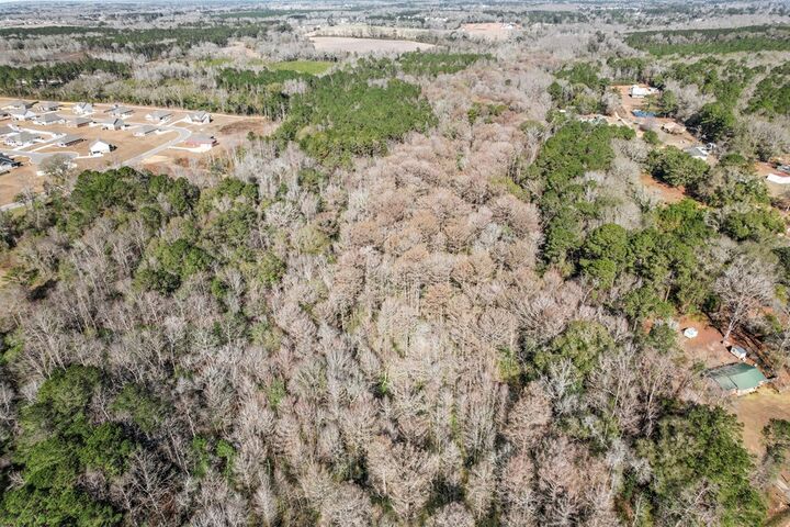 Property Photo:  0 County Road 203  AL 36301 