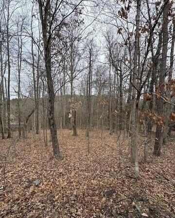 Property Photo: 0 Polk Avenue GA 30132