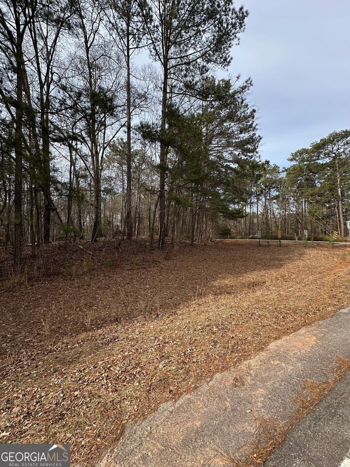 Property Photo:  0 Tussahaw Point Drive  GA 30233 
