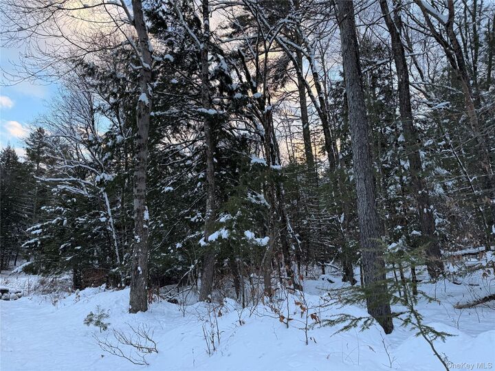 Property Photo:  00 Starlight Road  NY 12701 