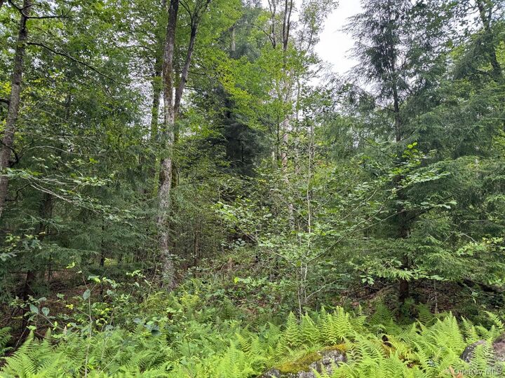 Property Photo:  00 Starlight Road  NY 12701 