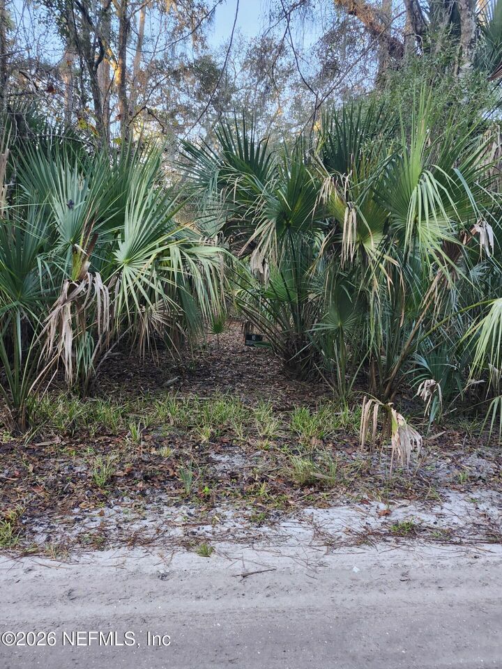 Property Photo:  00 Drayton Island  FL 32112 