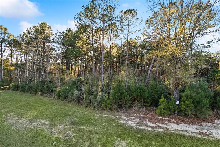 Property Photo:  12509 Goldentop Drive  LA 70433 