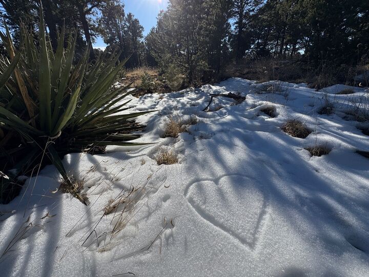 Property Photo:  7 Dancing Hawk Drive  NM 87552 