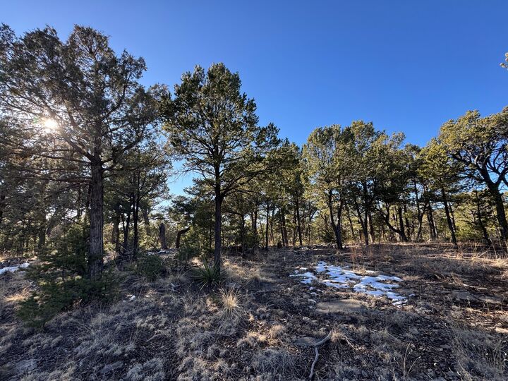 Property Photo: 7 Dancing Hawk Drive NM 87552